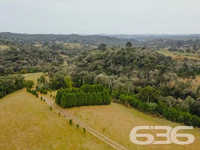 AMPLO SÍTIO COM 30.000m² EM CAMPO ALEGRE

Descubra