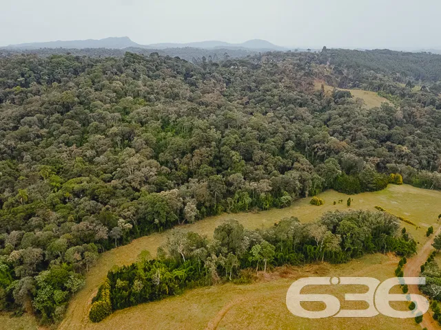 AMPLO SÍTIO COM 30.000m² EM CAMPO ALEGRE

Descubra