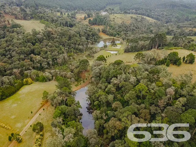 AMPLO SÍTIO COM 30.000m² EM CAMPO ALEGRE

Descubra