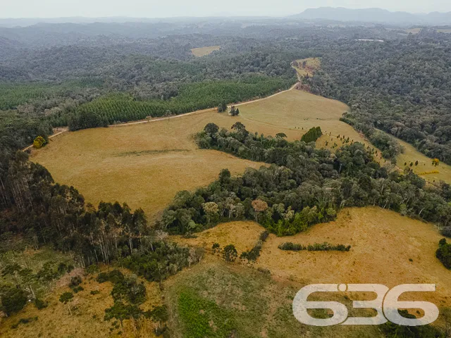 AMPLO SÍTIO COM 30.000m² EM CAMPO ALEGRE

Descubra