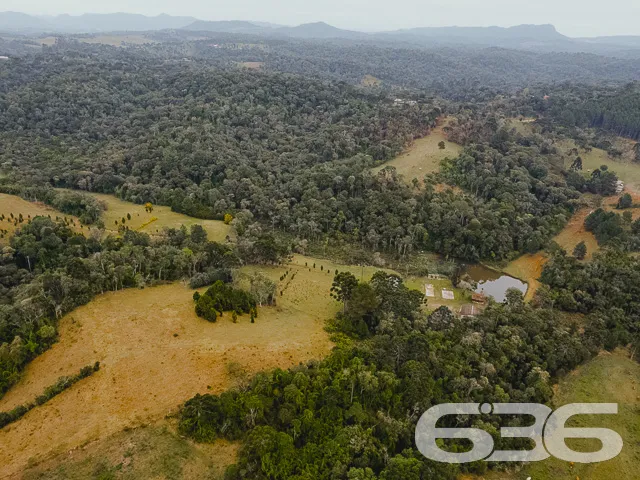 AMPLO SÍTIO COM 30.000m² EM CAMPO ALEGRE

Descubra