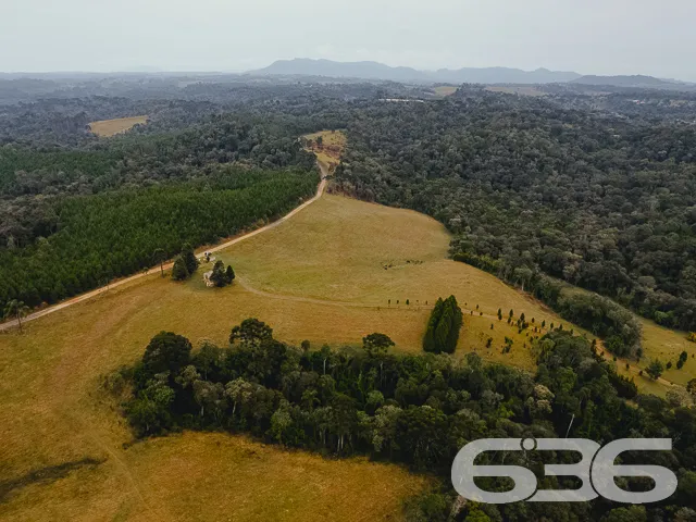 AMPLO SÍTIO COM 30.000m² EM CAMPO ALEGRE

Descubra