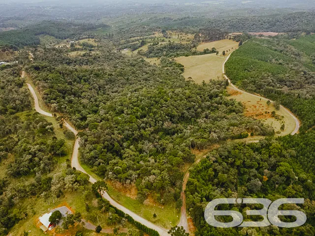 AMPLO SÍTIO COM 30.000m² EM CAMPO ALEGRE

Descubra