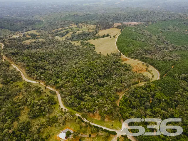 AMPLO SÍTIO COM 30.000m² EM CAMPO ALEGRE

Descubra