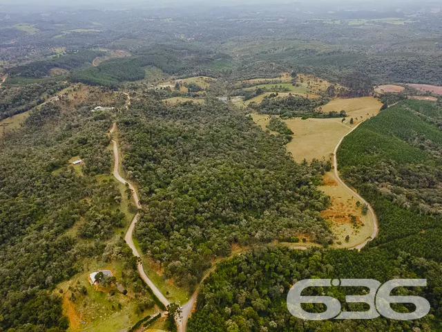 AMPLO SÍTIO COM 30.000m² EM CAMPO ALEGRE

Descubra