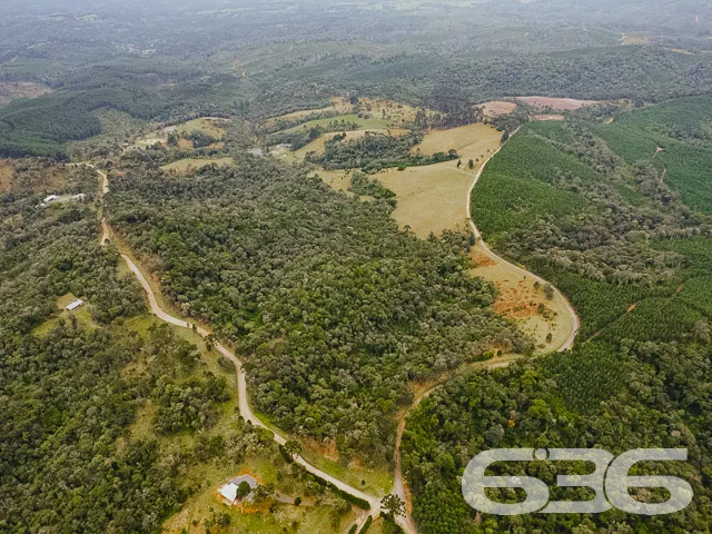 AMPLO SÍTIO COM 30.000m² EM CAMPO ALEGRE

Descubra