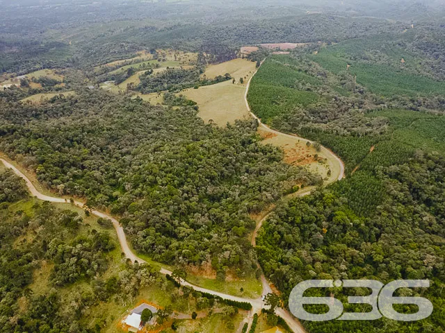 AMPLO SÍTIO COM 30.000m² EM CAMPO ALEGRE

Descubra
