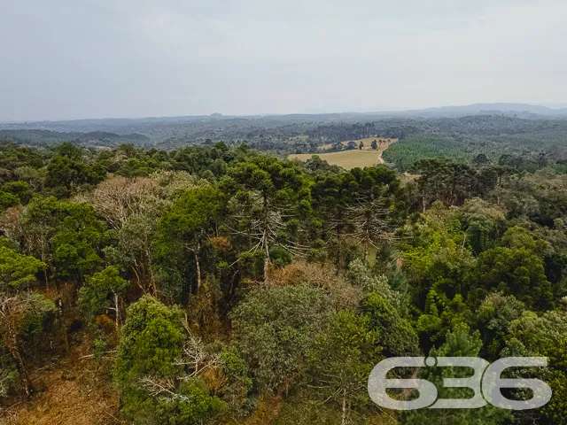 AMPLO SÍTIO COM 30.000m² EM CAMPO ALEGRE

Descubra