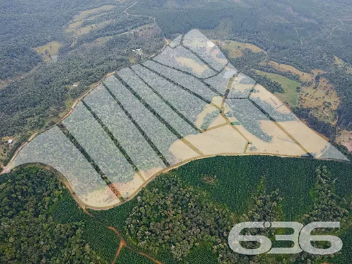 AMPLO SÍTIO COM 30.000m² EM CAMPO ALEGRE

Descubra