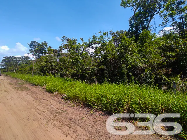 VENDE-SE TERRENO NO BAIRRO ERVINO, SÃO FRANCISCO D