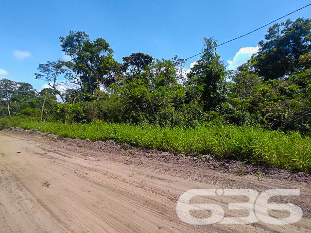 VENDE-SE TERRENO NO BAIRRO ERVINO, SÃO FRANCISCO D