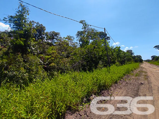 VENDE-SE TERRENO NO BAIRRO ERVINO, SÃO FRANCISCO D