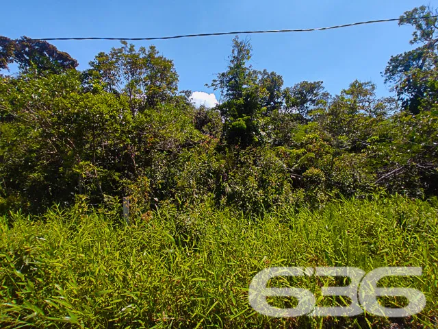 VENDE-SE TERRENO NO BAIRRO ERVINO, SÃO FRANCISCO D