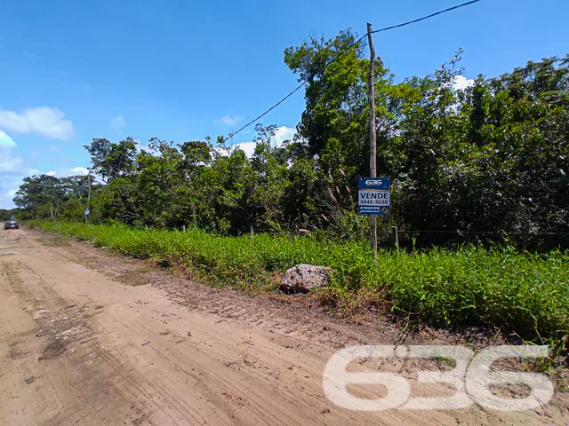 VENDE-SE TERRENO NO BAIRRO ERVINO, SÃO FRANCISCO D