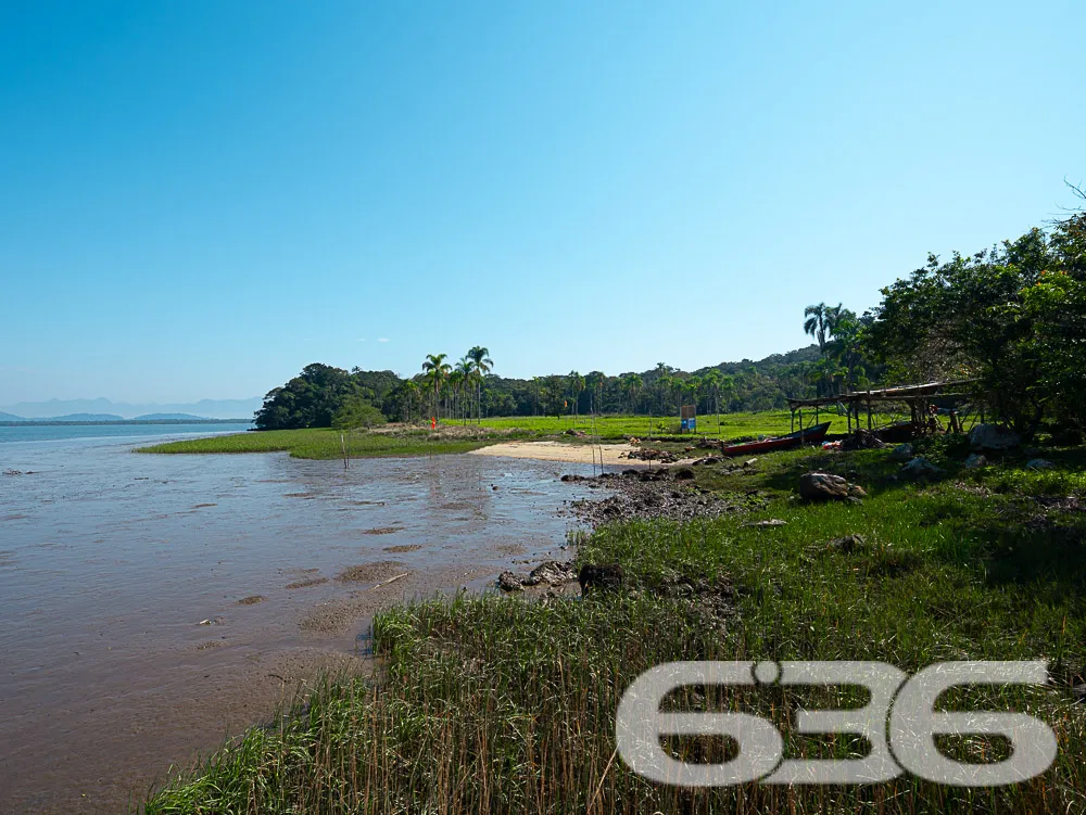 CHÁCARA ESPETACULAR EM SÃO FRANCISCO DO SUL

Prepa