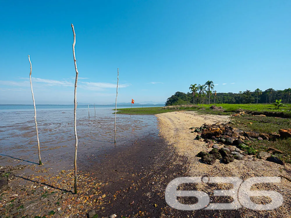 CHÁCARA ESPETACULAR EM SÃO FRANCISCO DO SUL

Prepa