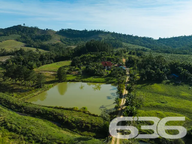 Descubra o Encanto Rural Modernizado em São João d