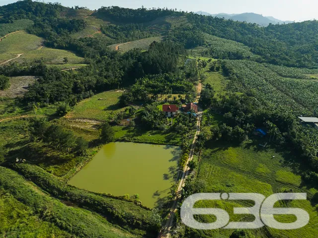 Descubra o Encanto Rural Modernizado em São João d