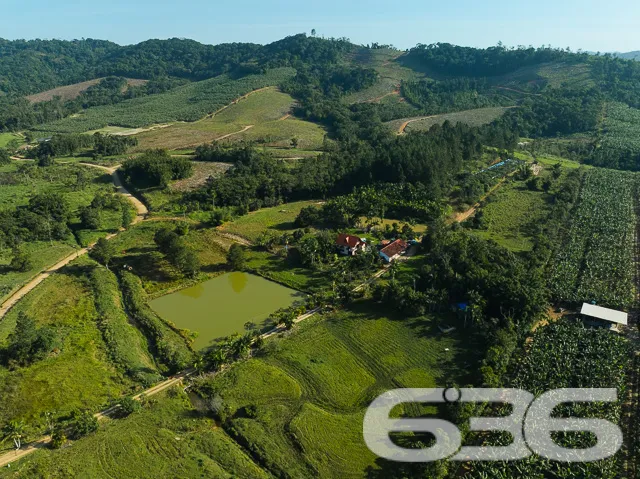 Descubra o Encanto Rural Modernizado em São João d
