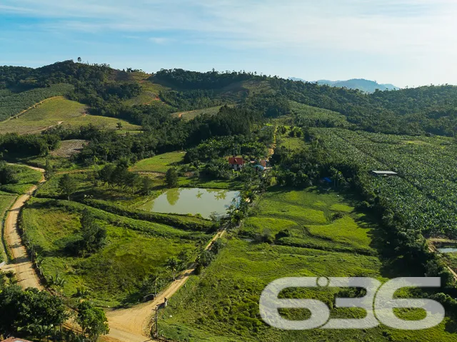 Descubra o Encanto Rural Modernizado em São João d