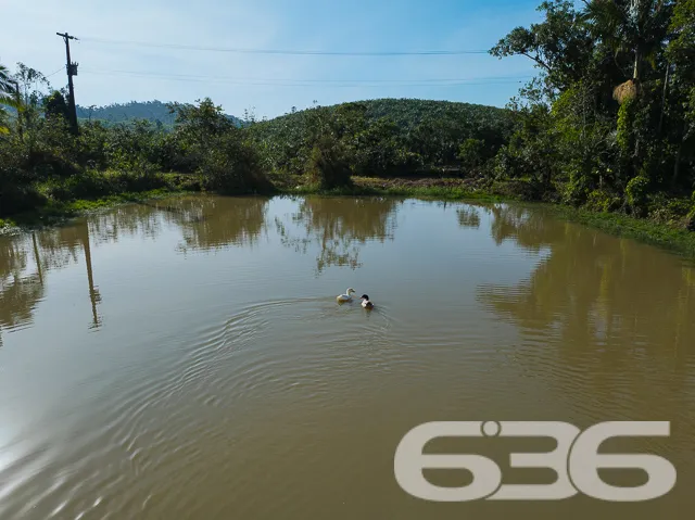 Descubra o Encanto Rural Modernizado em São João d