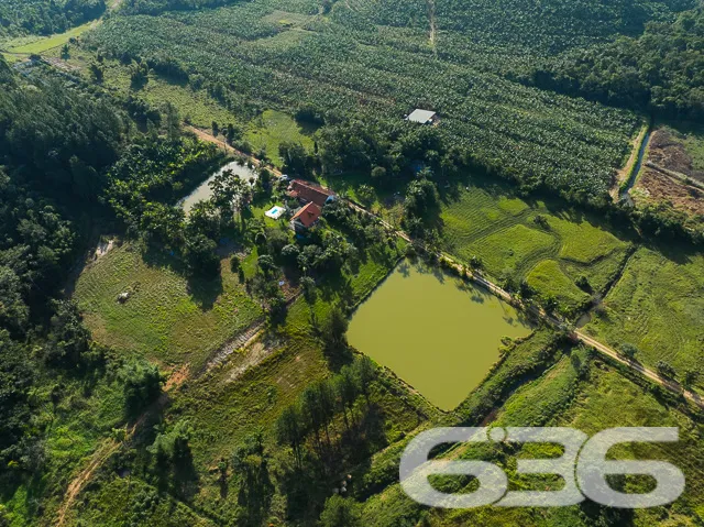 Descubra o Encanto Rural Modernizado em São João d