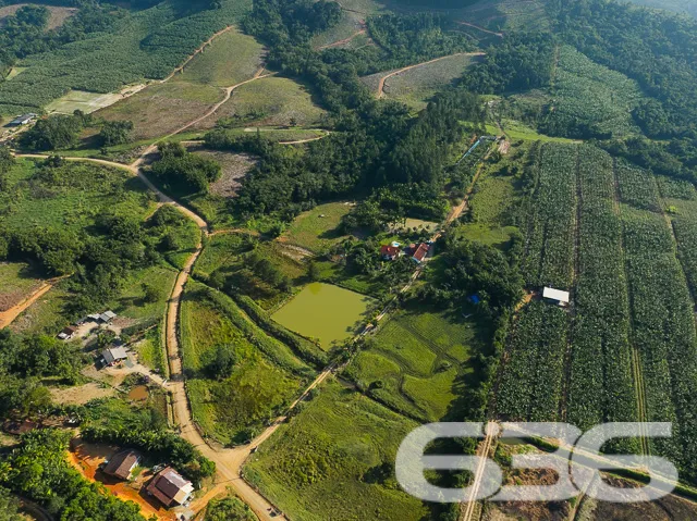 Descubra o Encanto Rural Modernizado em São João d