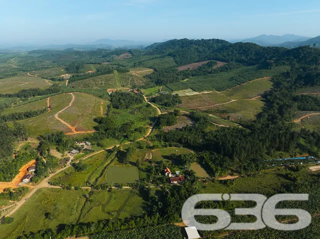 Descubra o Encanto Rural Modernizado em São João d