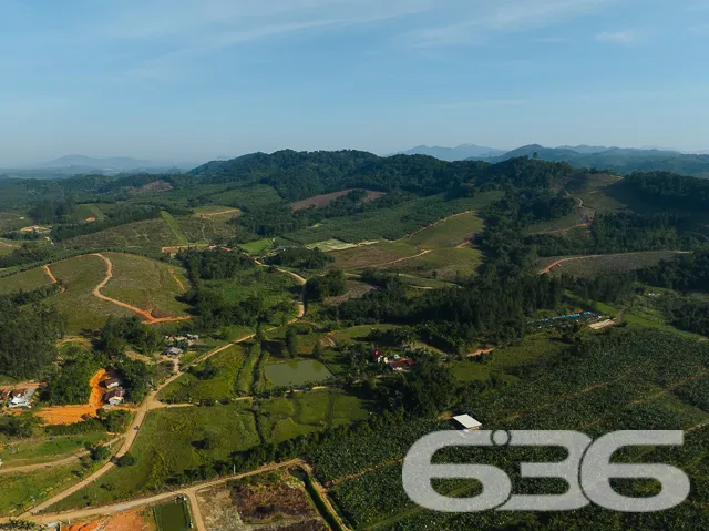 Descubra o Encanto Rural Modernizado em São João d