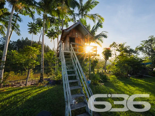 Descubra o Encanto Rural Modernizado em São João d