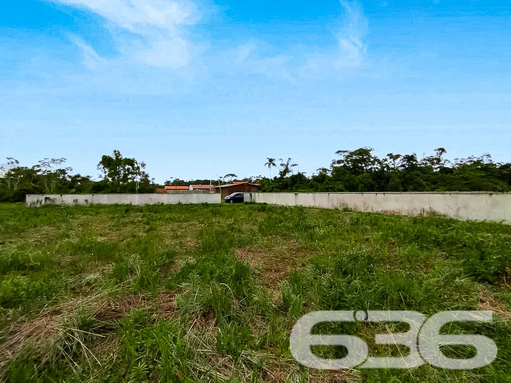 Terreno Plano e Murado em São Francisco do Sul - P