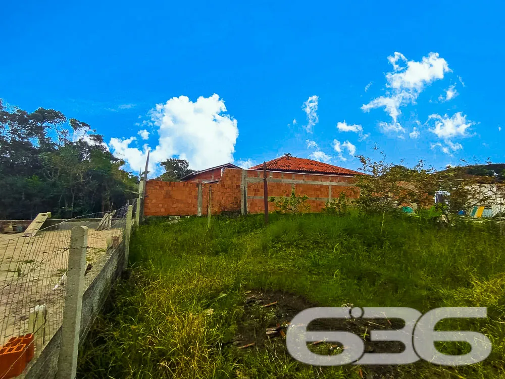 Descubra o Potencial de Viver Bem em São Francisco