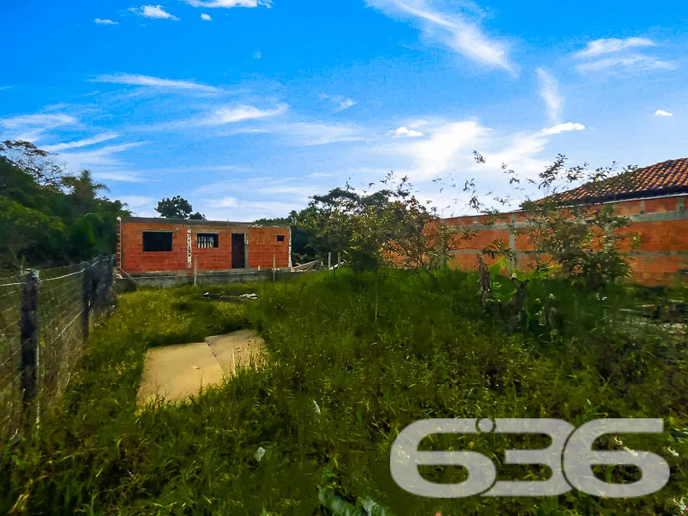 Descubra o Potencial de Viver Bem em São Francisco