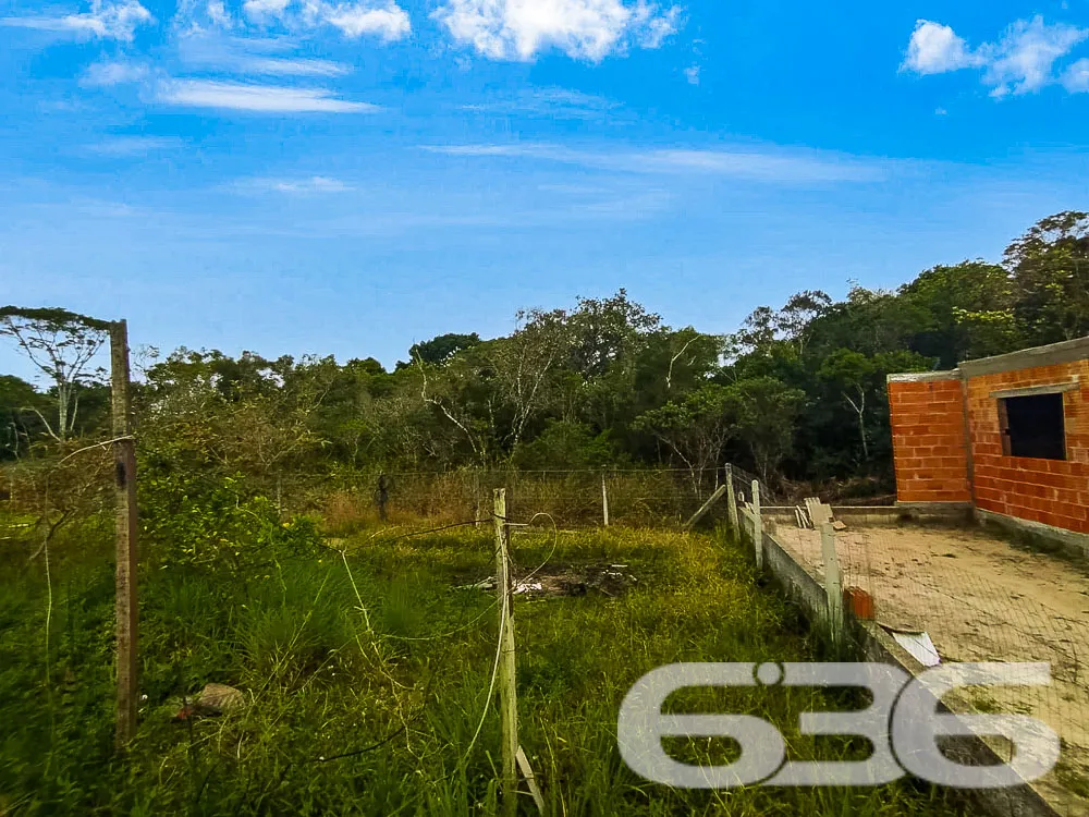 Descubra o Potencial de Viver Bem em São Francisco