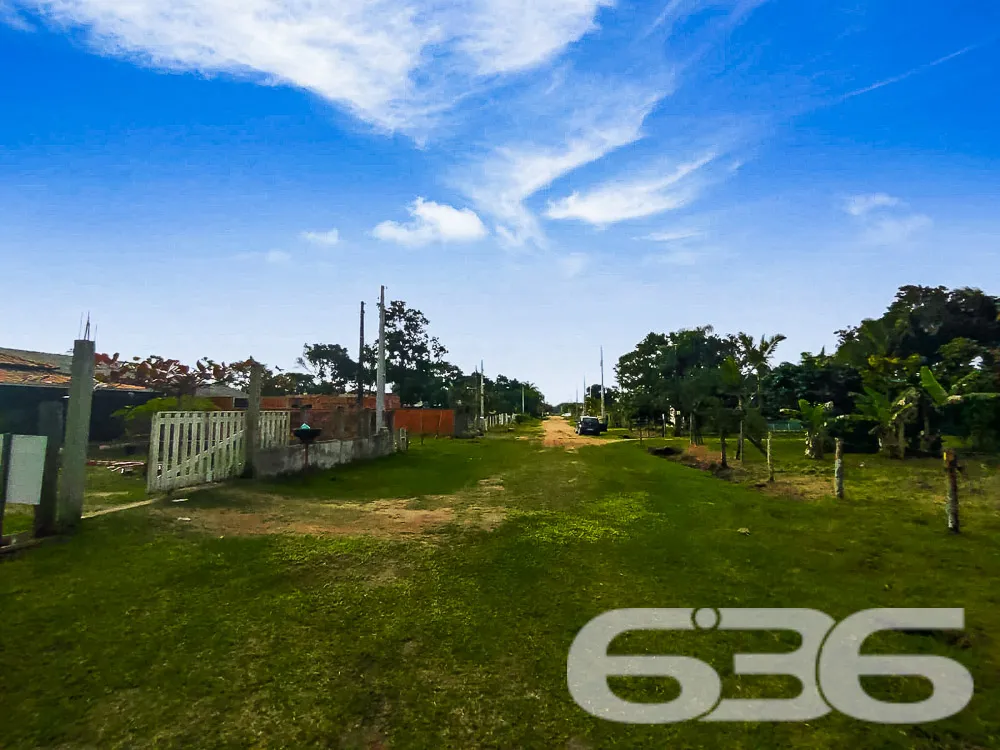 Descubra o Potencial de Viver Bem em São Francisco