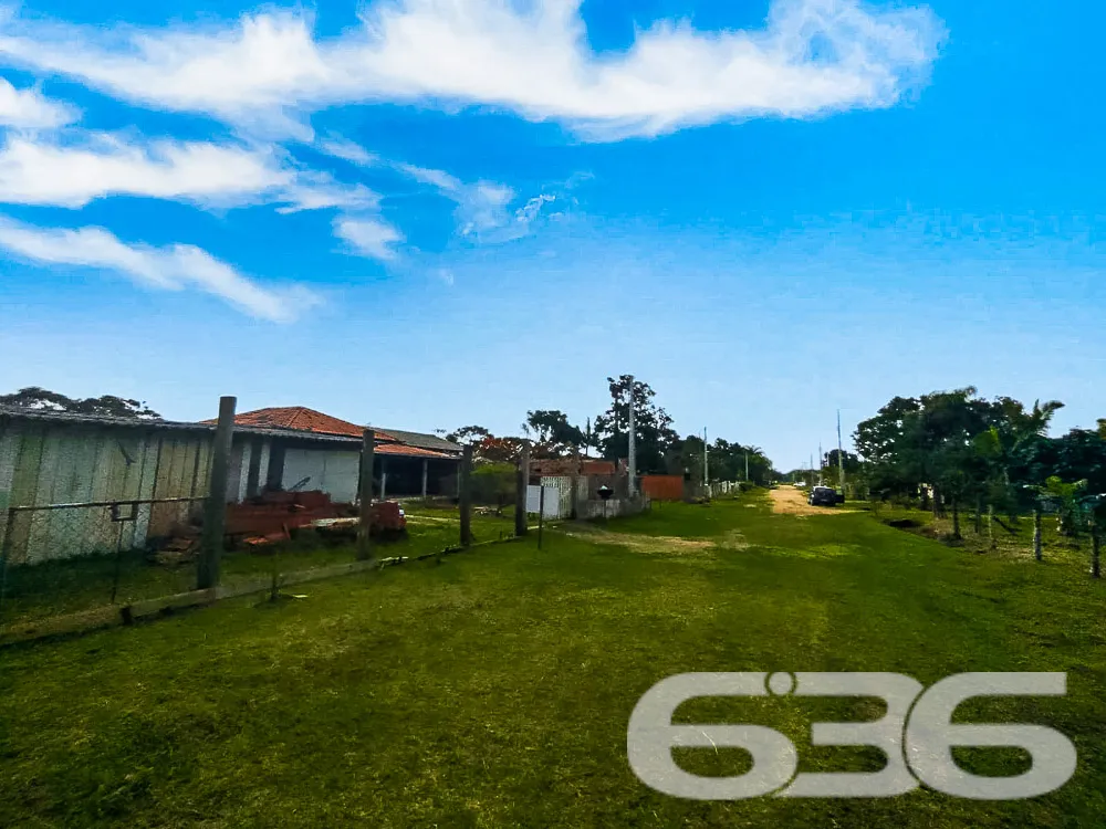 Descubra o Potencial de Viver Bem em São Francisco