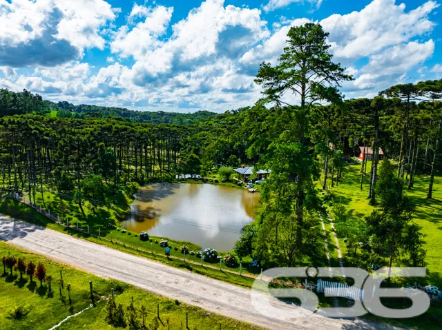 Descubra um refúgio único em Campo Alegre, SC. Est