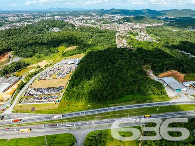 Descubra a Sua Nova Oportunidade de Investimento e