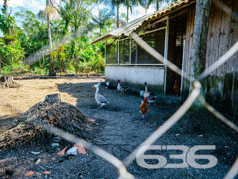 Chácara à venda em Balneário Barra do Sul/SC – Um