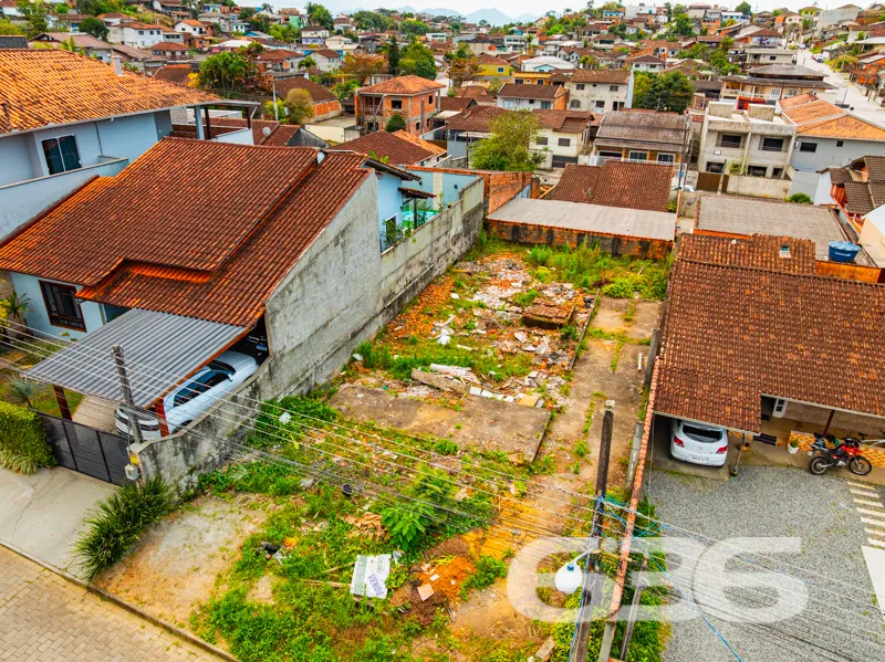 Descubra o seu próximo grande investimento no char