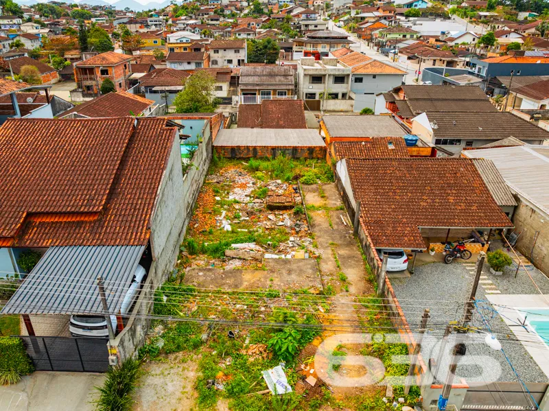 Descubra o seu próximo grande investimento no char
