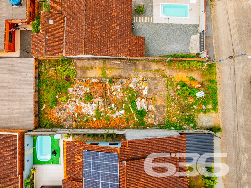 Descubra o seu próximo grande investimento no char