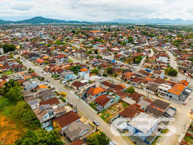 Descubra o seu próximo grande investimento no char