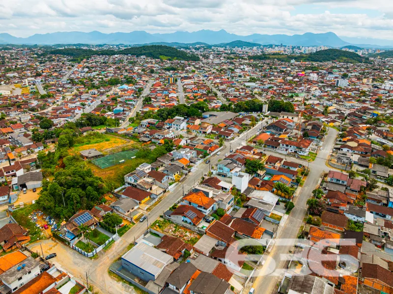 Descubra o seu próximo grande investimento no char