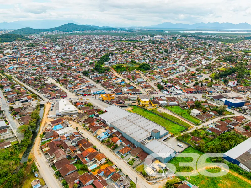 Descubra o seu próximo grande investimento no char