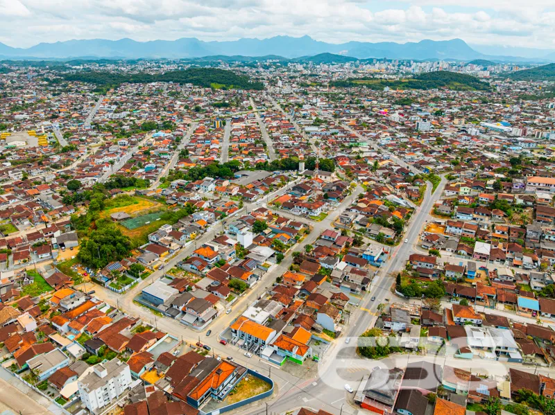 Descubra o seu próximo grande investimento no char