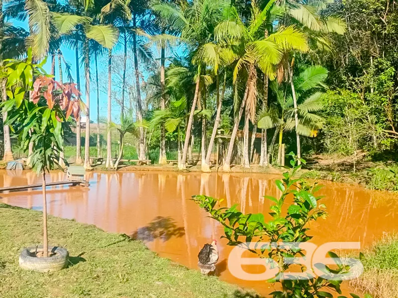 Viva a Experiência de Morar em uma Chácara dos Son