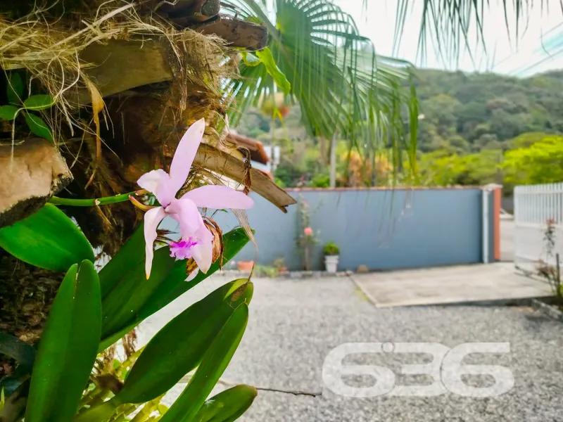 Descubra o seu refúgio ideal em São Francisco do S