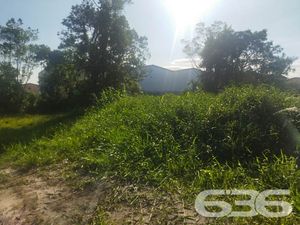 Terreno - Porto Grande - Araquari