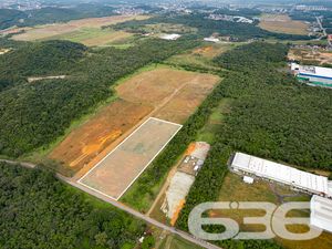 Terreno - Zona Industrial Norte - Joinville